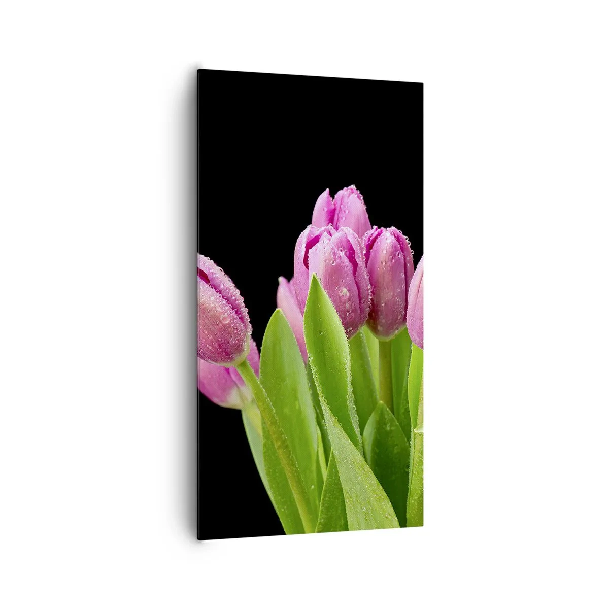Lærredstryk - Billede på lærred - Forårets lilla glæde - 65x120 cm
