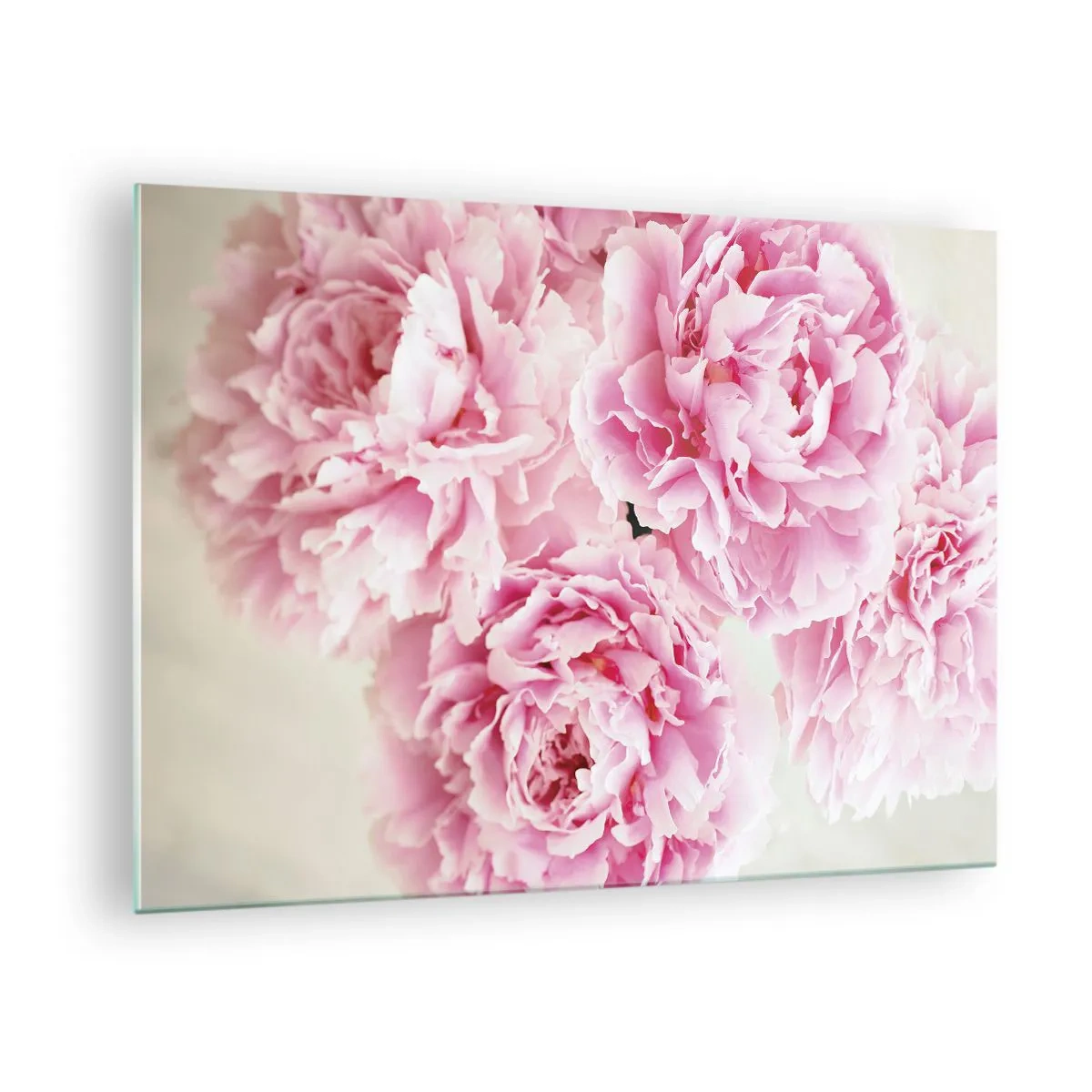 Billede på glas - En buket af lyserøde pæoner på en lys baggrund - 70x50cm - I lyserød glamour - Moderne vægdekoration til stue og soveværelse ARTTOR