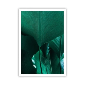 Plakat - Mod lyset - 70x100 cm