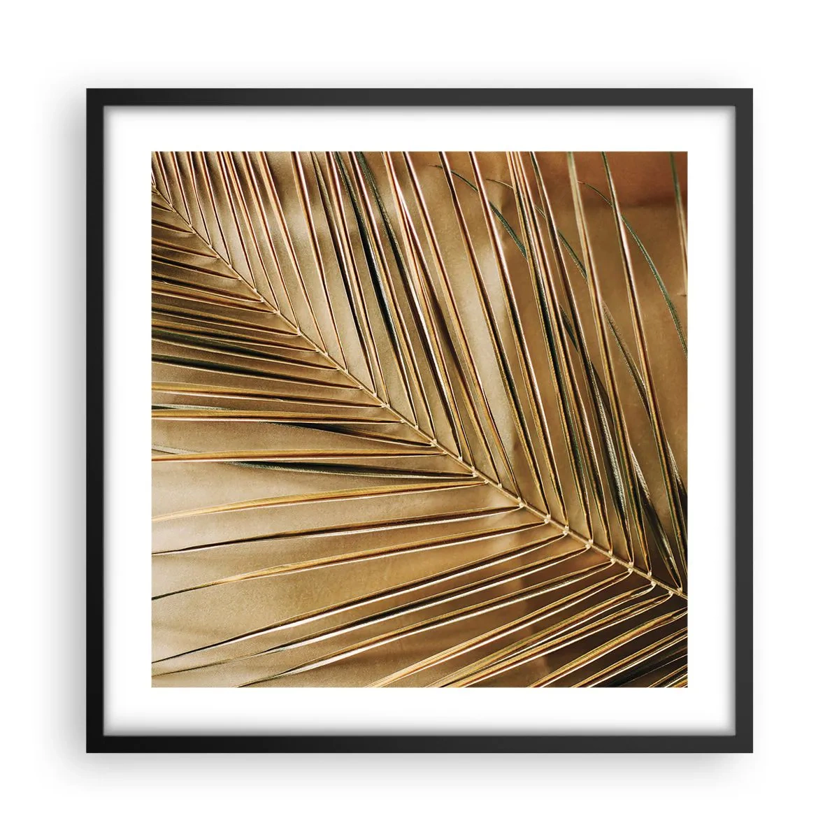 Plakat i sort ramme - Naturlig kolonnade - 50x50 cm