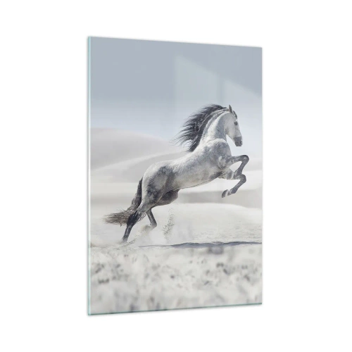 Billede på glas - Arabisk prins - 50x70 cm