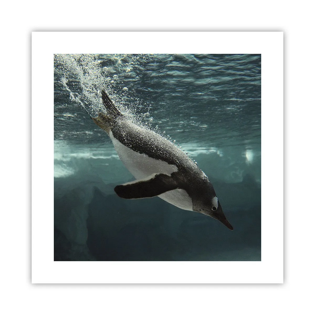 Plakat - Velkommen til min verden - 40x40 cm