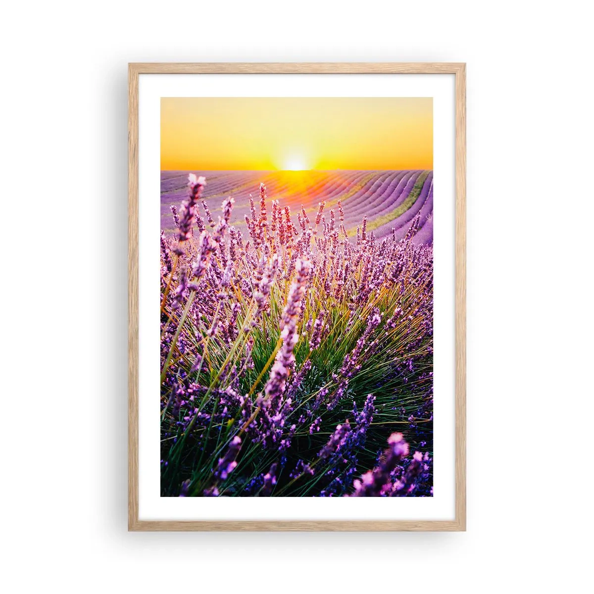 Plakat i ramme af lyst egetræ - Duftende plet - 50x70 cm