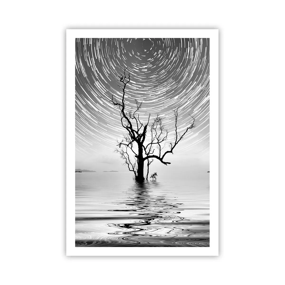 Plakat - En natursymfoni - 61x91 cm