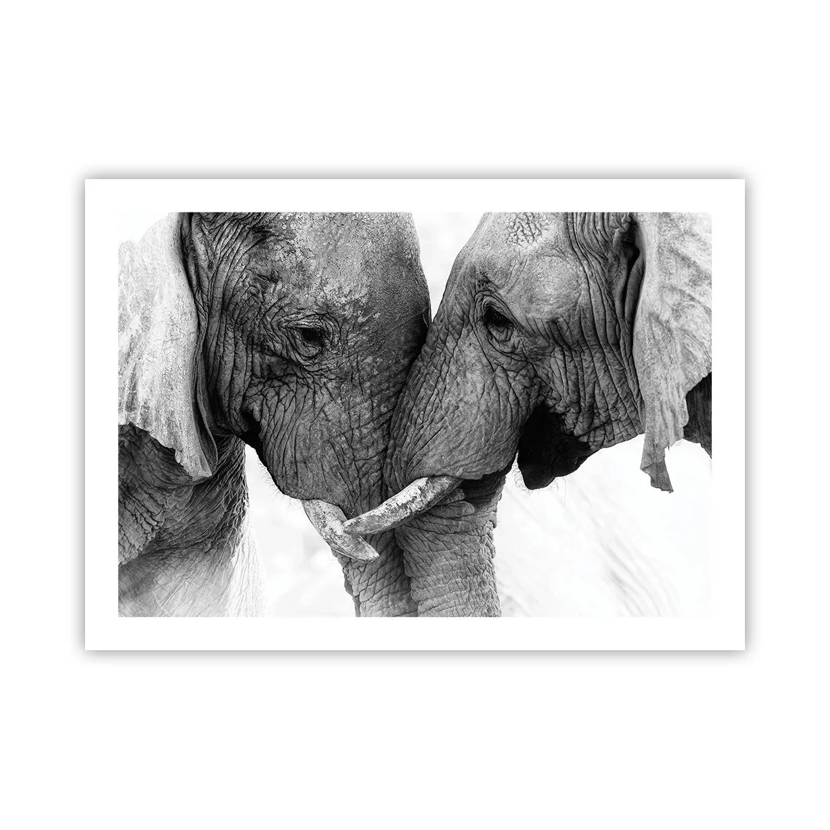 Plakat - Hjertelig tilståelse - 70x50 cm