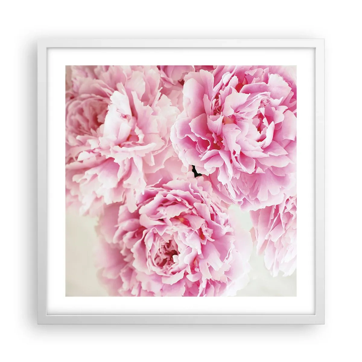 Plakat i hvid ramme - I lyserød glamour - 50x50 cm