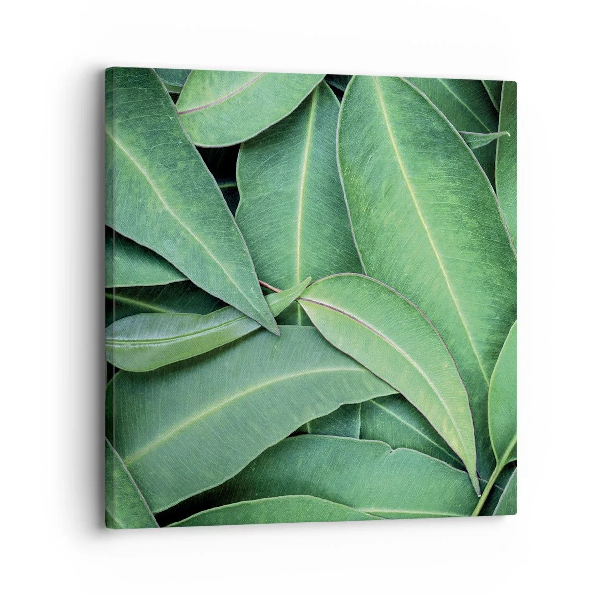 Lærredstryk - Billede på lærred - Saftig og frisk - 30x30 cm