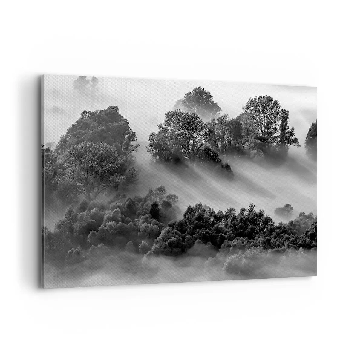 Lærredstryk - Billede på lærred - At vågne fra søvnen - 100x70 cm