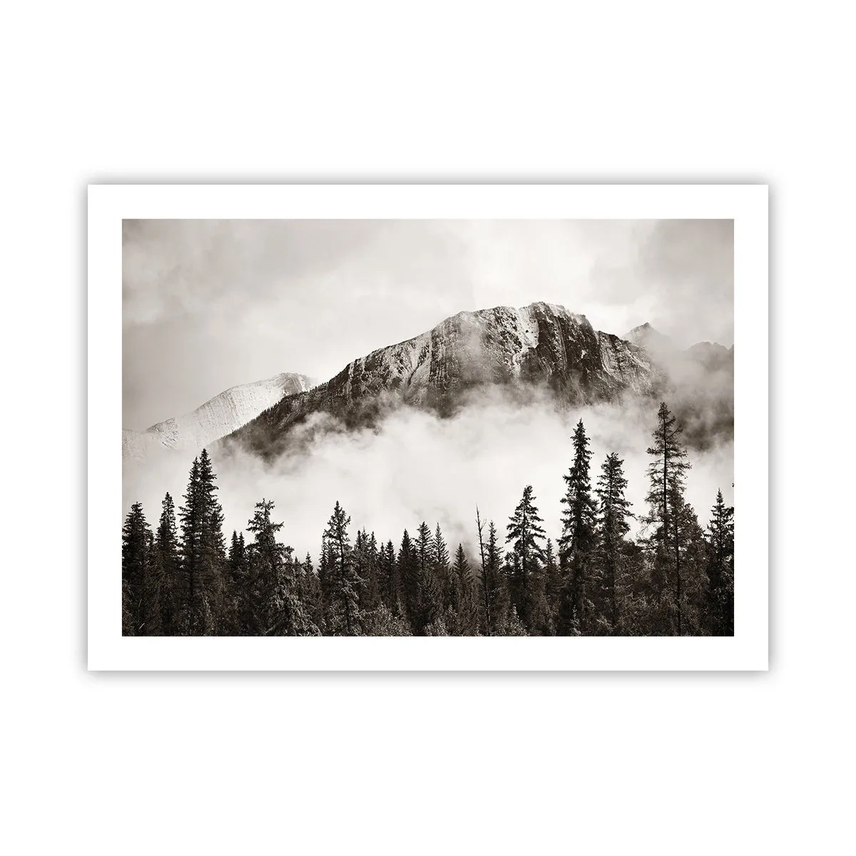 Plakat - Granit hersker - 70x50 cm