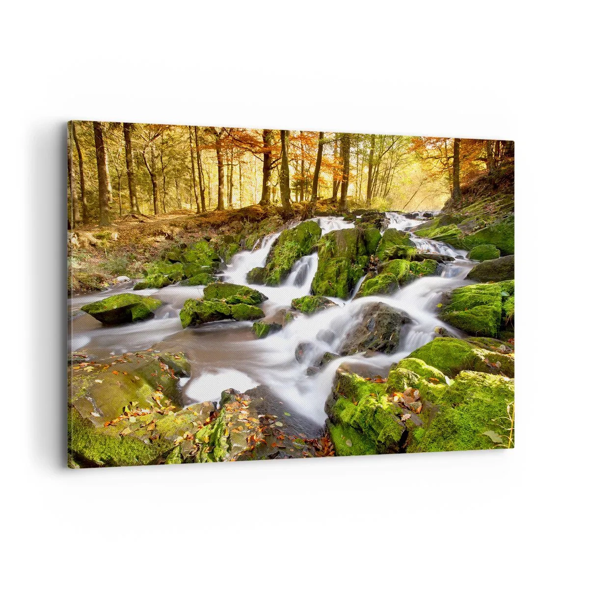 Lærredstryk - Billede på lærred - Bystrøm gennem efterårsskoven - 120x80 cm