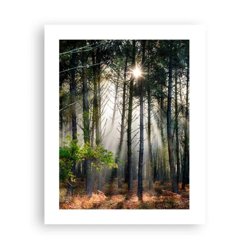 Plakat - Skovens vildnis - 40x50 cm