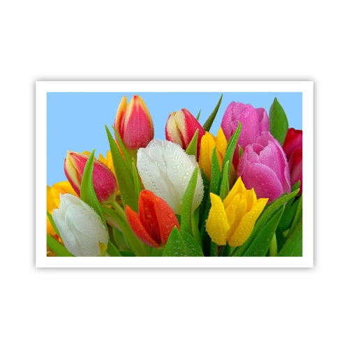 Plakat - En blomstret regnbue i dugdråber - 91x61 cm