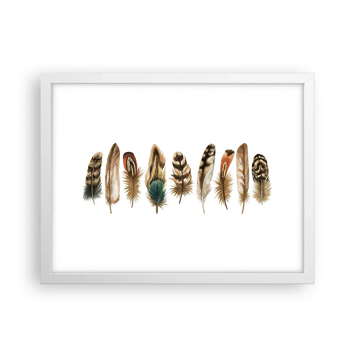 Plakat i hvid ramme - Variation med fjer - 40x30 cm