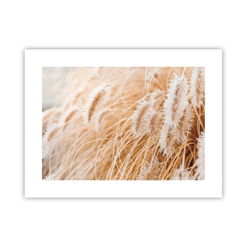 Plakat - Gyldent susen af græsser - 40x30 cm