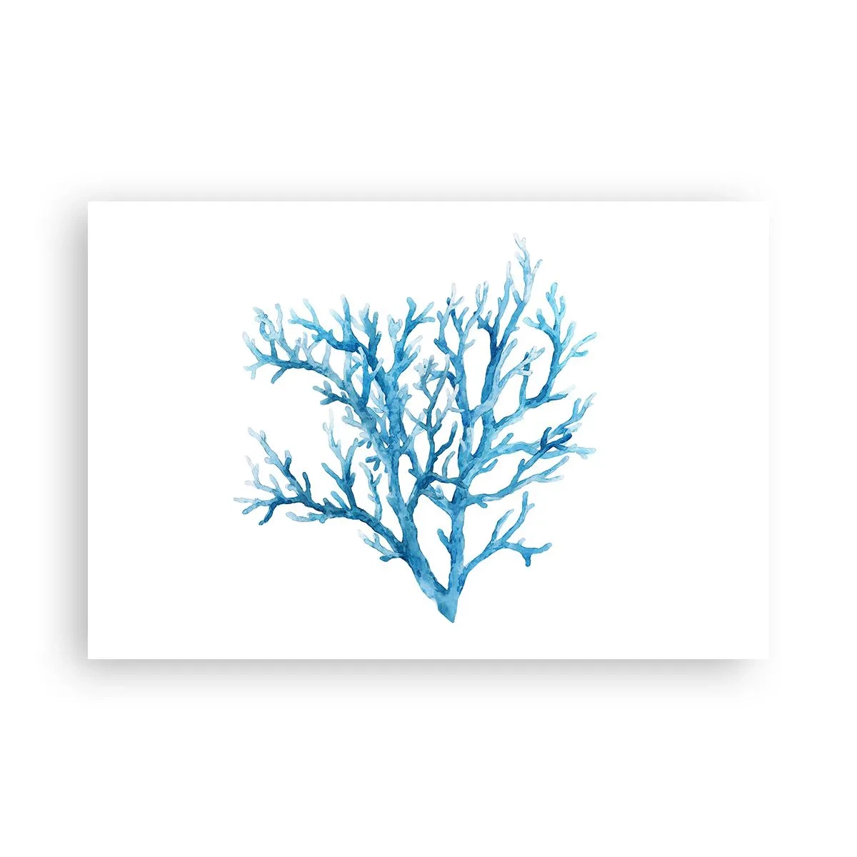 Plakat - Marint filigran - 91x61 cm