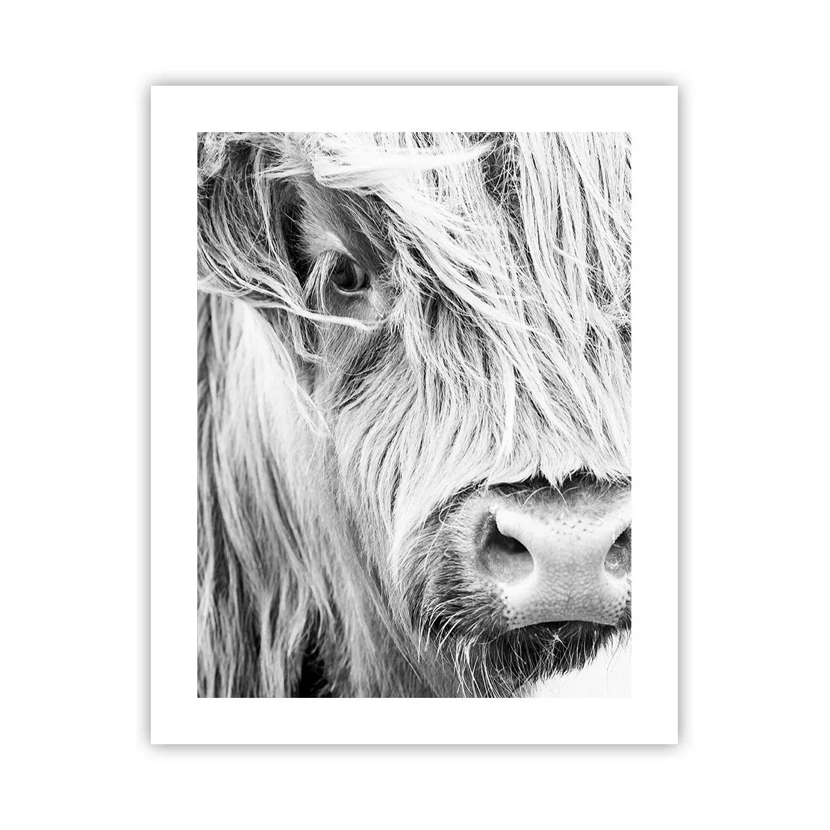 Plakat - Skotsk vildmark - 40x50 cm
