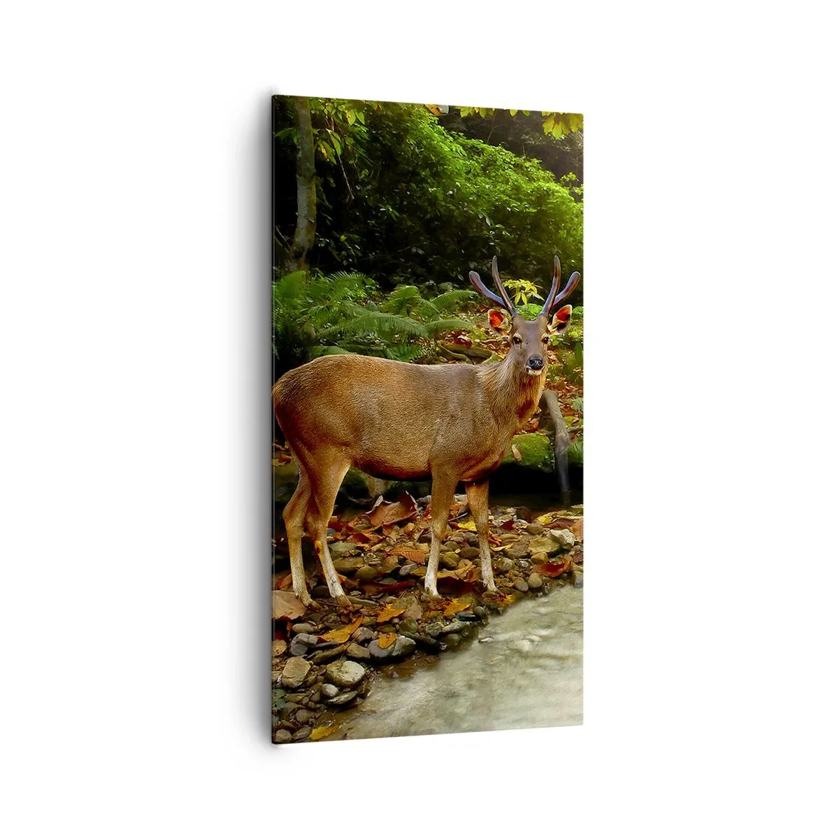 Lærredstryk - Billede på lærred - Velkommen til min verden - 65x120 cm