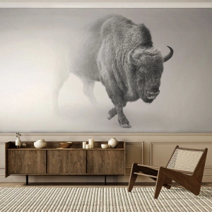 Fototapet Selvklæbende Deluxe Sticker - Kongen af prærien - Wisent, Dyr, Bison - 500x350 cm
