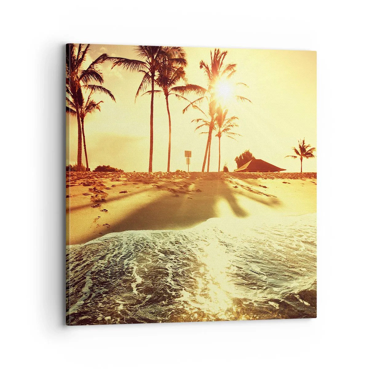 Lærredstryk - Billede på lærred - Eftermiddag i Californien - 70x70 cm
