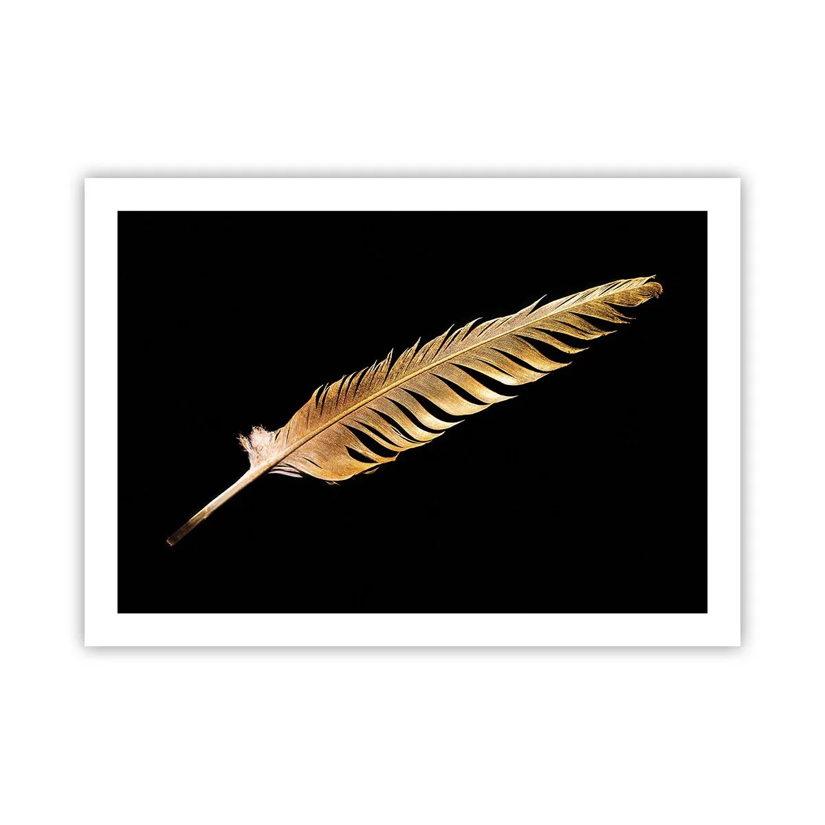 Plakat - Det er ikke nogen ringe præstation, at den... - 70x50 cm