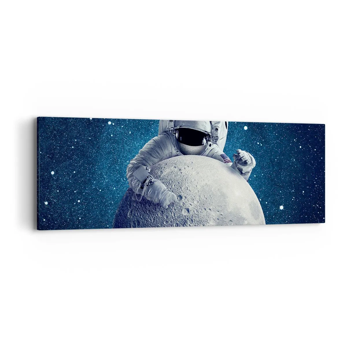Lærredstryk - Billede på lærred - Kosmisk spøgefugl - 90x30 cm