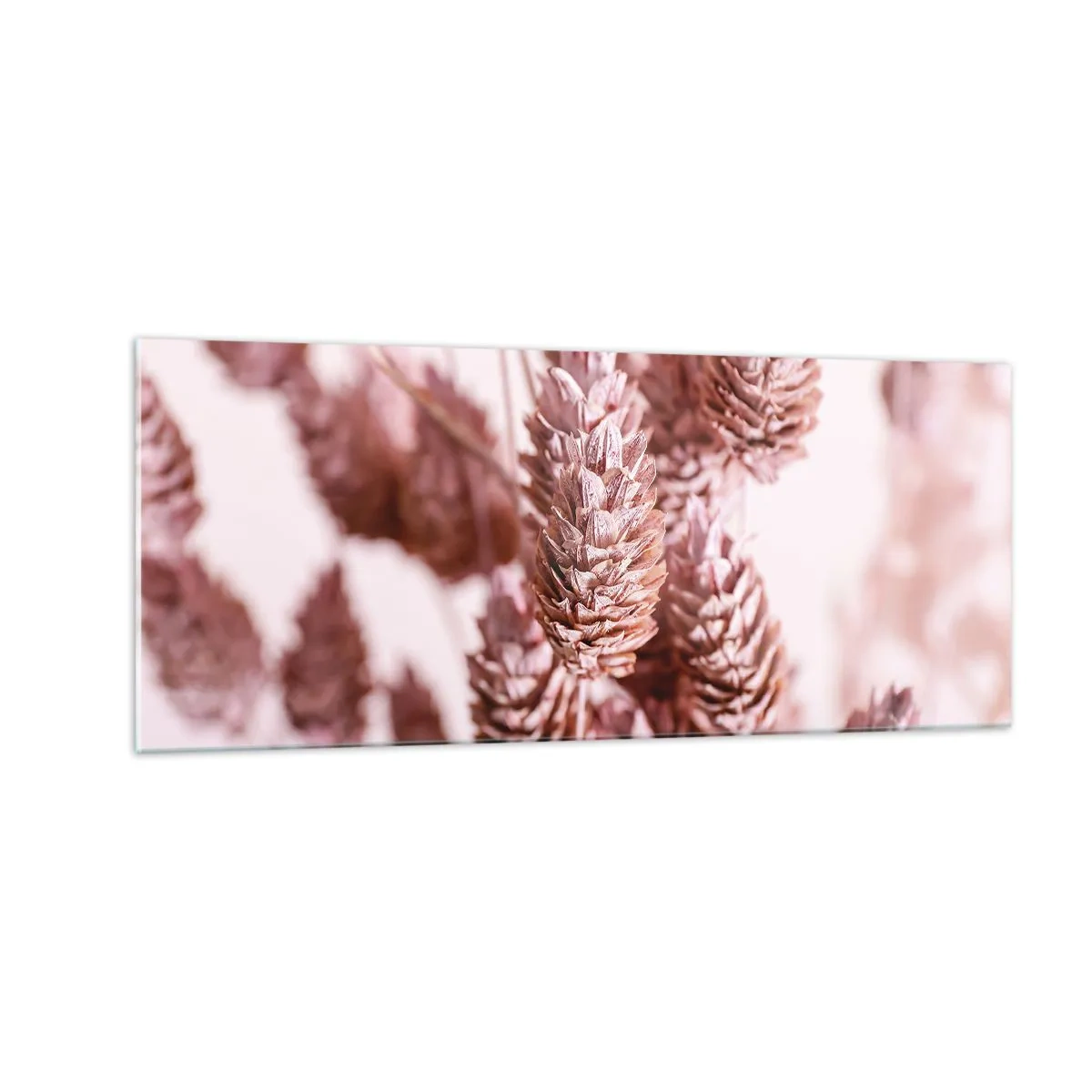 Billede på glas - Tilsyneladende ubemærket - 100x40 cm