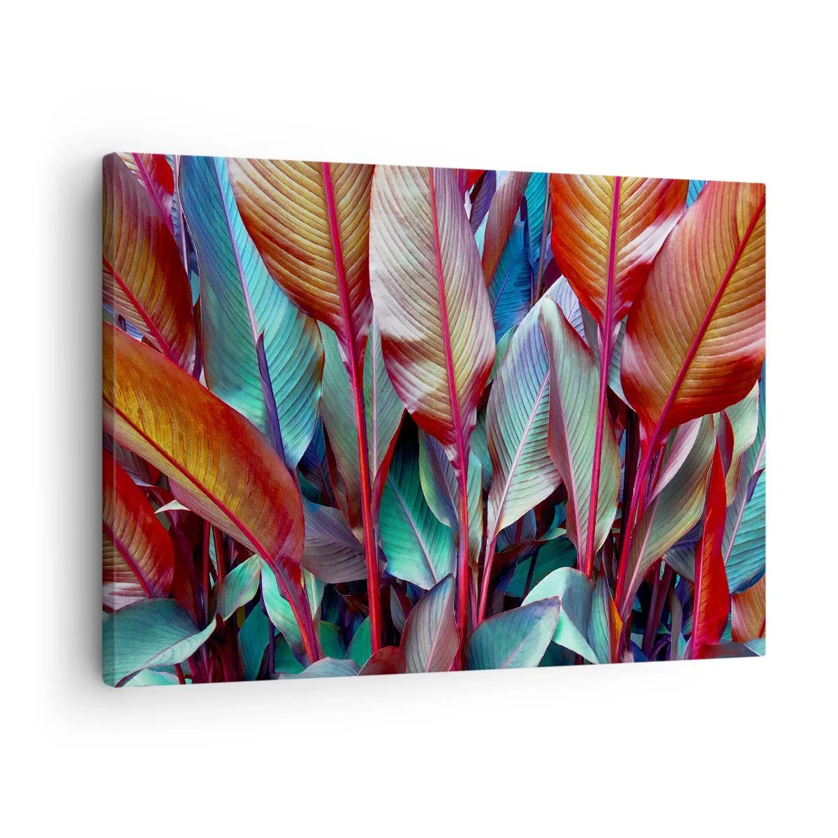 Lærredstryk - Billede på lærred - Farverige blade af tropiske planter i krattet - 70x50cm - Farverigt krat - Moderne vægdekoration til stue og soveværelse ARTTOR