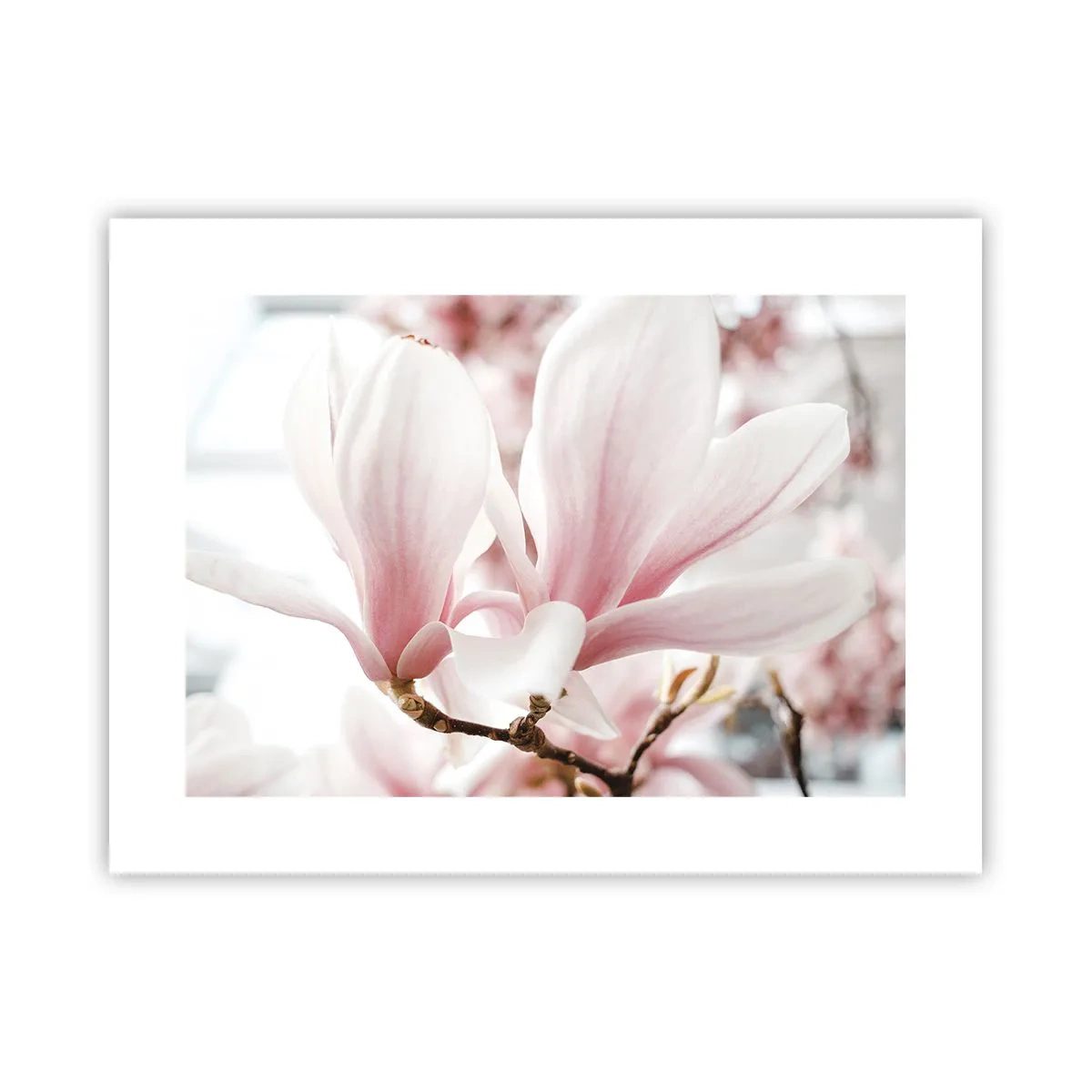 Plakat - Ømhedens umådelighed - 40x30 cm