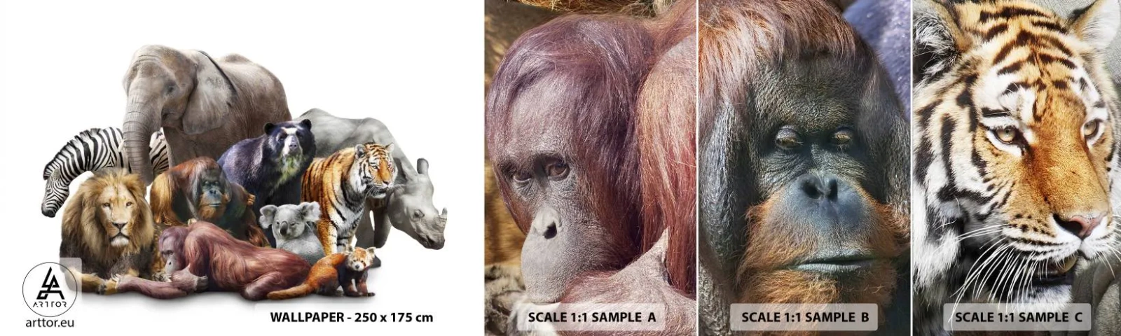 Prøve Fototapet Selvklæbende Deluxe Sticker - Afrikansk familiefotografi - Abstraktion, Dyr, Afrikas fem store - 100x30 cm