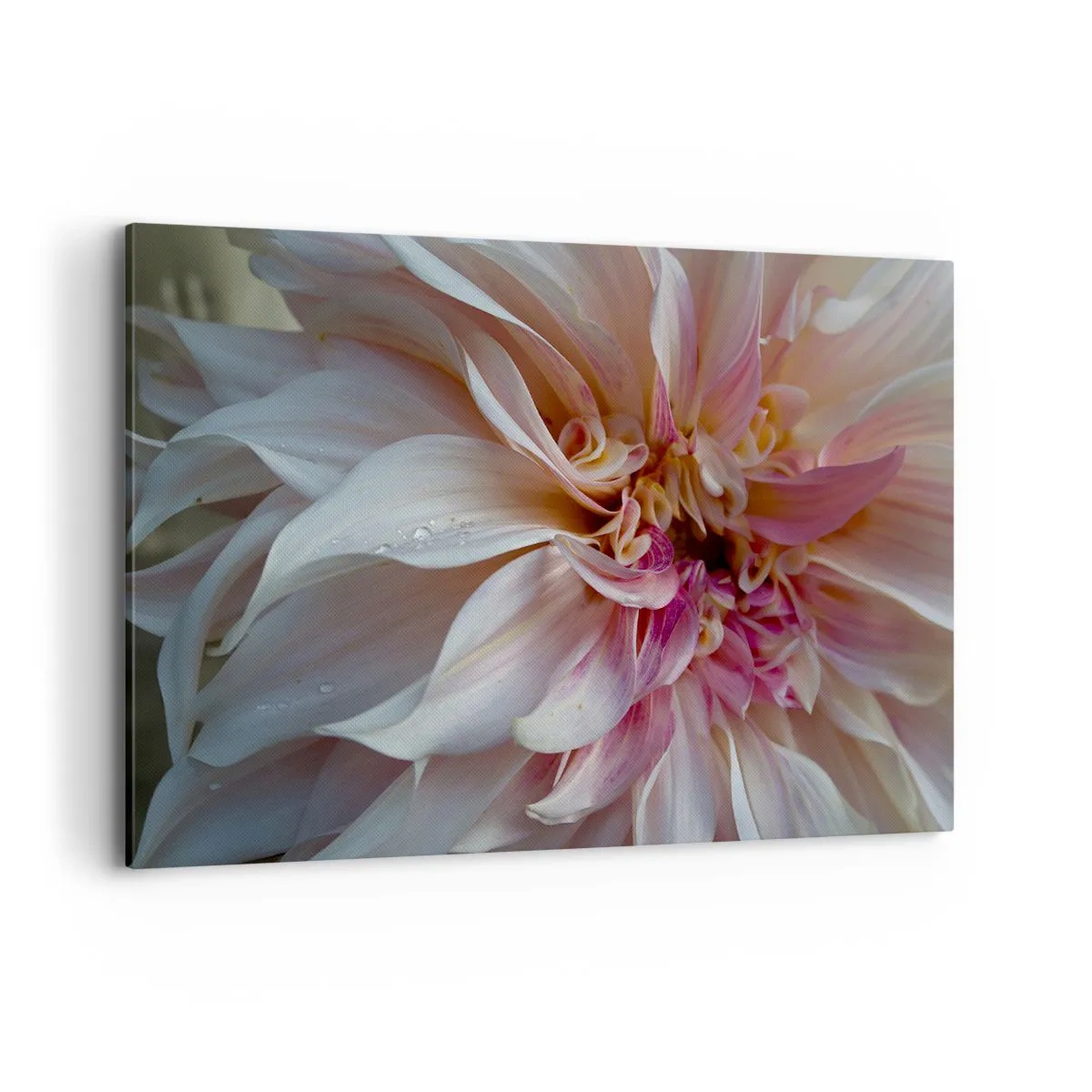 Lærredstryk - Billede på lærred - Blomstrende friskhed - 120x80 cm