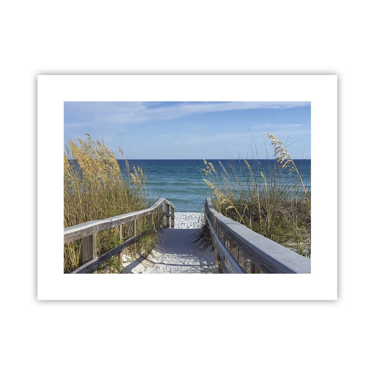 Plakat - I solen, i vinden - 40x30 cm
