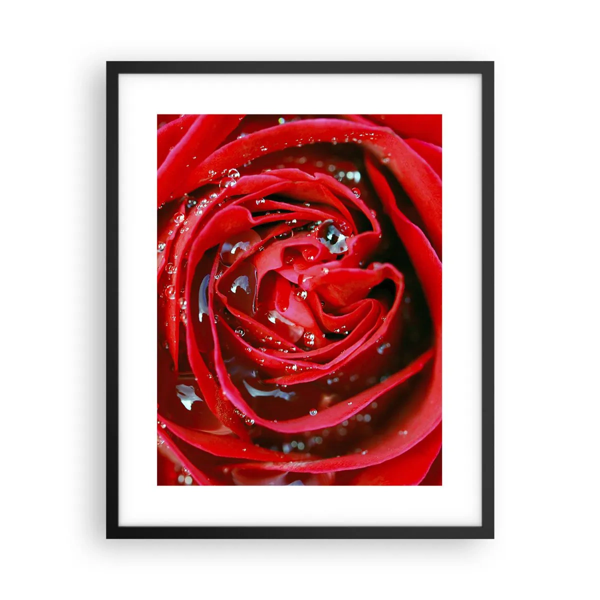 Plakat i sort ramme - I dråber af dug - 40x50 cm