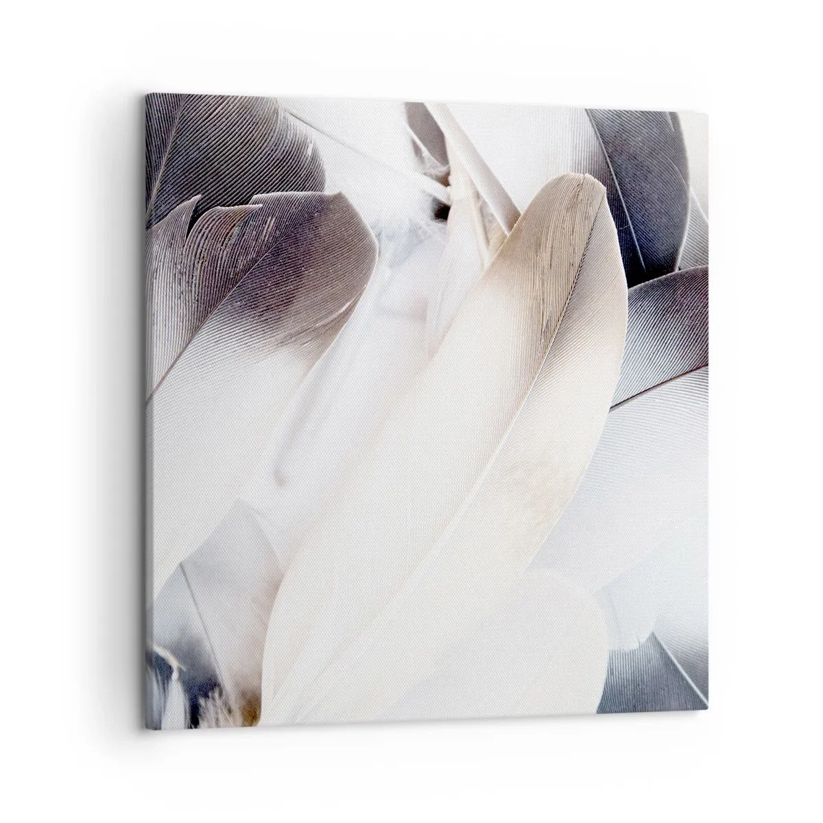 Lærredstryk - Billede på lærred - Næsten engleagtig - 50x50 cm