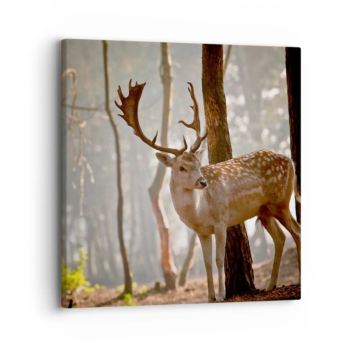 Lærredstryk - Billede på lærred - Ungdommens lys - 30x30 cm
