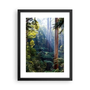 Plakat i sort ramme - En fortælling om skoven - 30x40 cm