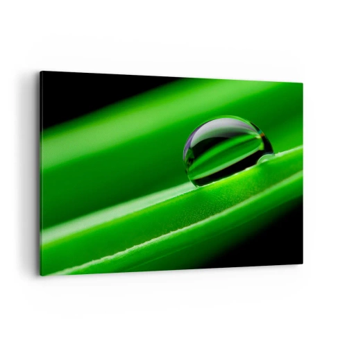 Lærredstryk - Billede på lærred - Livet på tæt hold - 100x70 cm