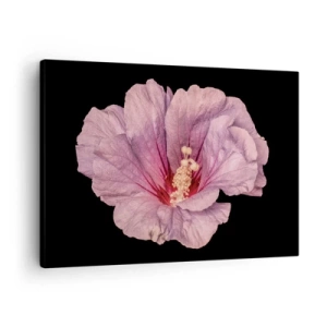Lærredstryk - Billede på lærred - Lyserød blomst på en sort baggrund - 70x50cm - Lige i hjertet - Moderne vægdekoration til stue og soveværelse ARTTOR