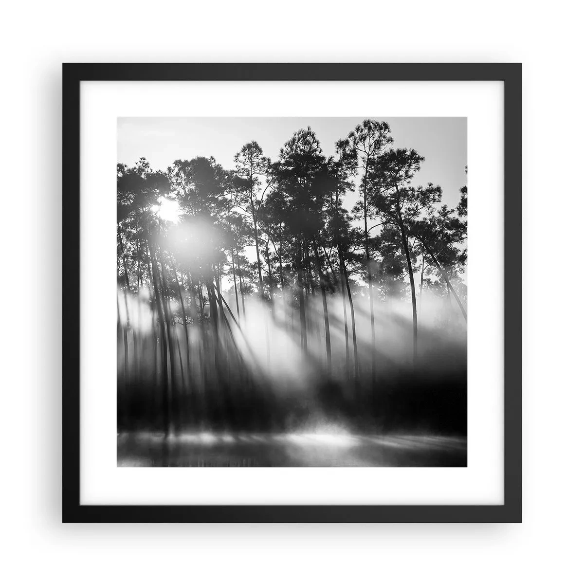 Plakat i sort ramme - Ustoppelig sol - 40x40 cm