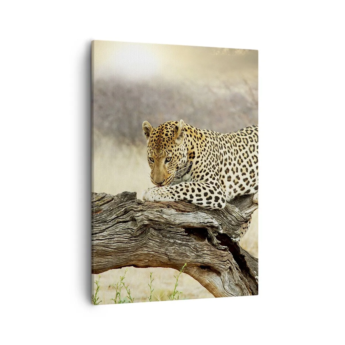 Lærredstryk - Billede på lærred - Jeg går min egen vej - 50x70 cm