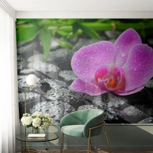 Fototapet Selvklæbende Deluxe Sticker - Som et åbent hjerte - Blomster, Orkidé, Orkidé - 350x256 cm