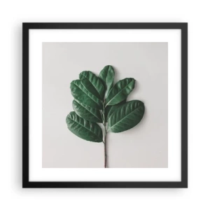 Plakat i sort ramme - Tegning af selve naturen - 40x40 cm