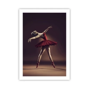 Plakat - Prima ballerina - 50x70 cm