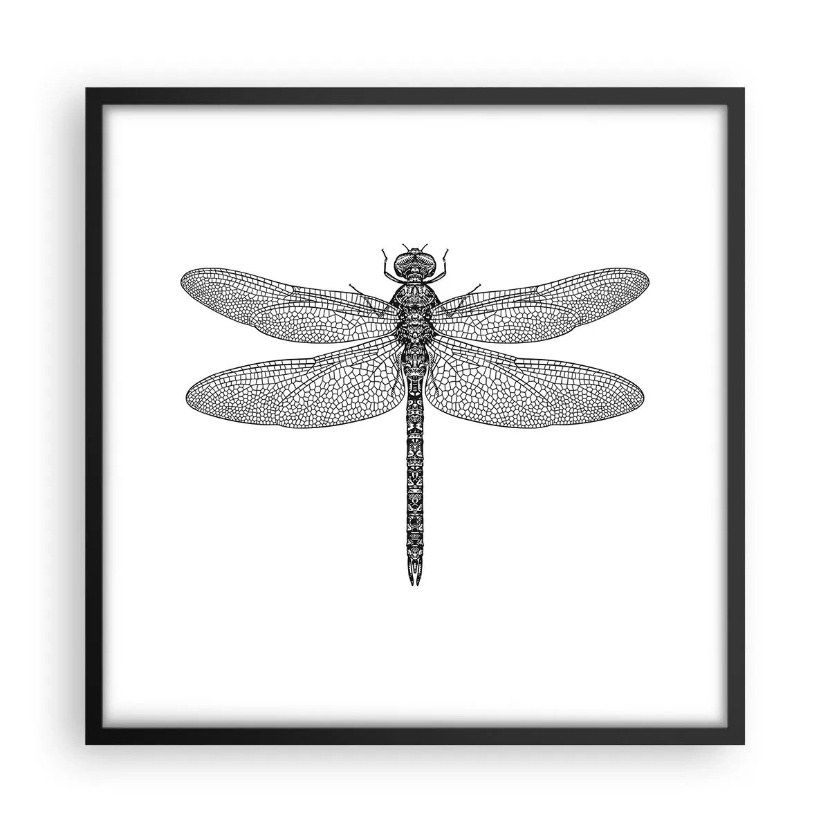 Plakat i sort ramme - Præcision i naturen - 50x50 cm