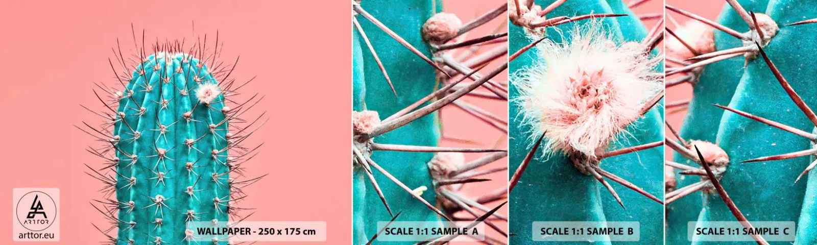 Fototapet Prøve Standard Eco - Bare se - Kaktus, Pastel, Minimalisme - 100x30 cm