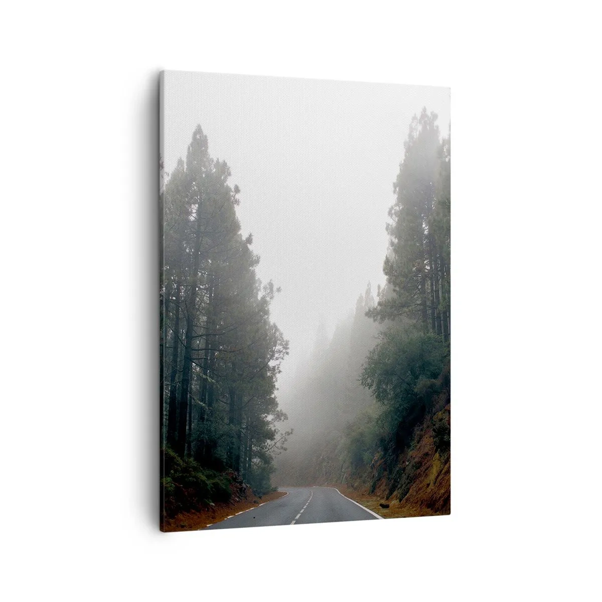 Lærredstryk - Billede på lærred - En fortælling om en magisk skov - 50x70 cm