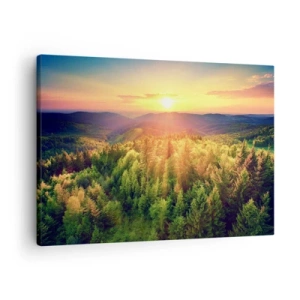 Lærredstryk - Billede på lærred - Skovlandskab med solnedgang over bakkerne - 70x50cm - Toppe og bjergtoppe - Moderne vægdekoration til stue og soveværelse ARTTOR