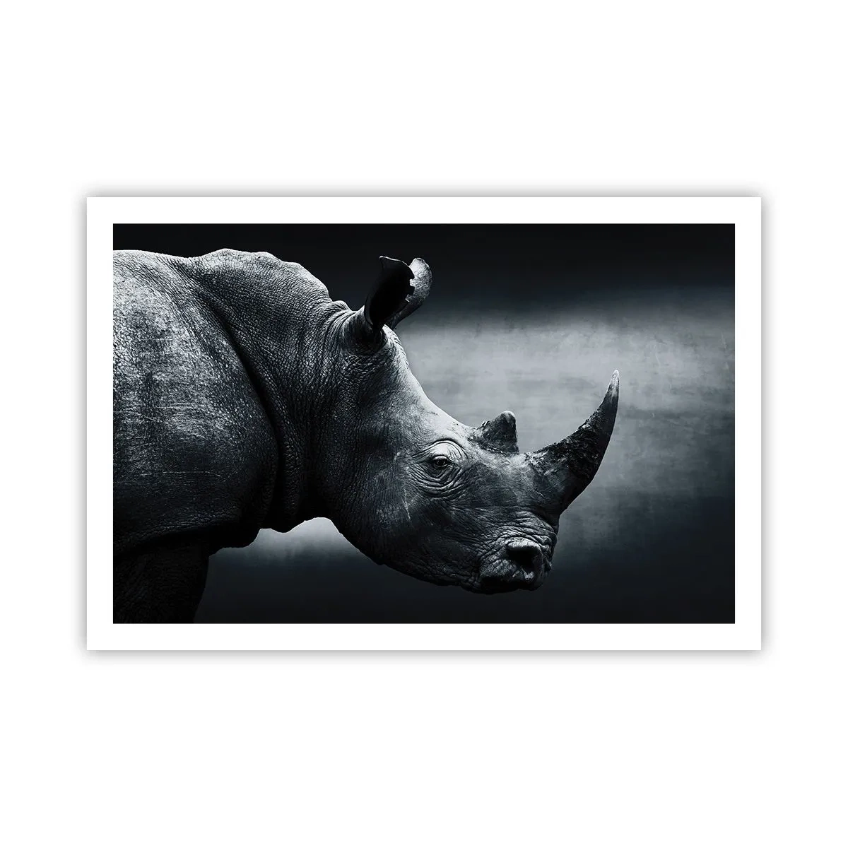 Plakat - Højre profil - 91x61 cm