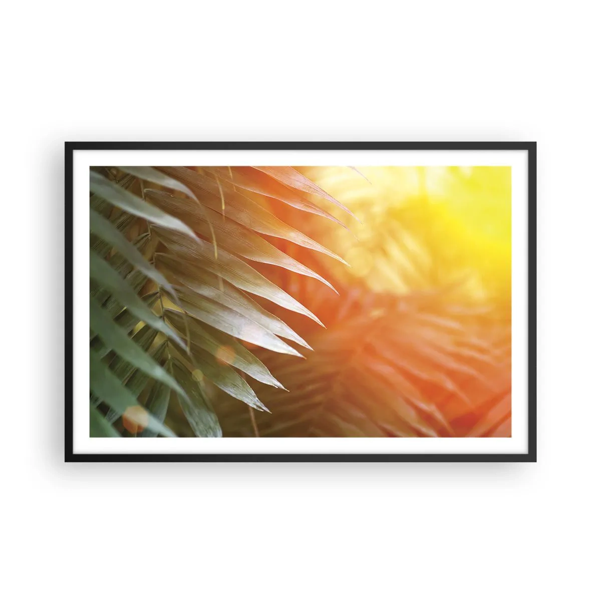 Plakat i sort ramme - Morgen i junglen - 91x61 cm