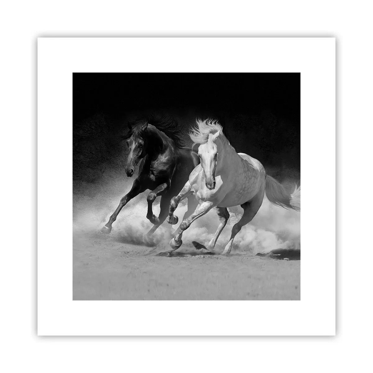 Plakat - Frihedens galop - 30x30 cm