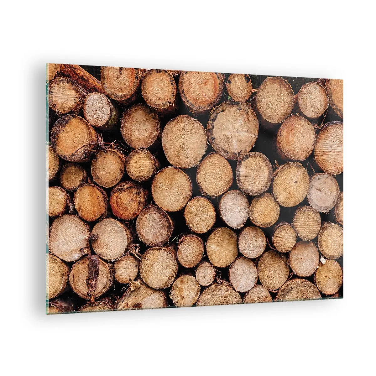 Billede på glas - Lodret arrangerede træstammer med synlige vækstringe - 70x50cm - En ny begyndelse - Moderne vægdekoration til stue og soveværelse ARTTOR